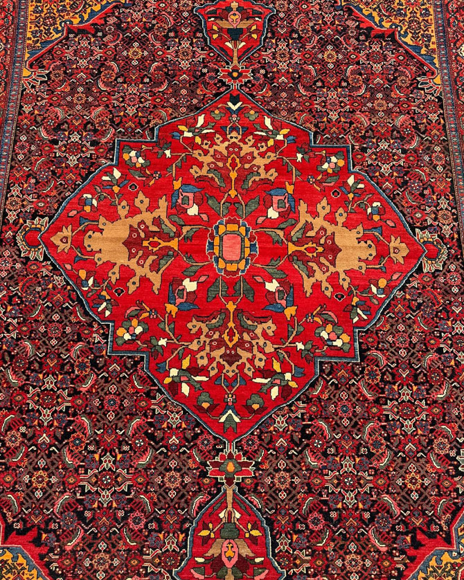 farahan persian rug provided by hadi maktabi gallery